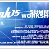AK15 Summer Workshop 2011