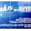 Summer Workshop 2010